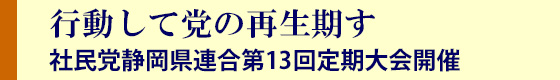 社民党静岡県連第13回定期大会